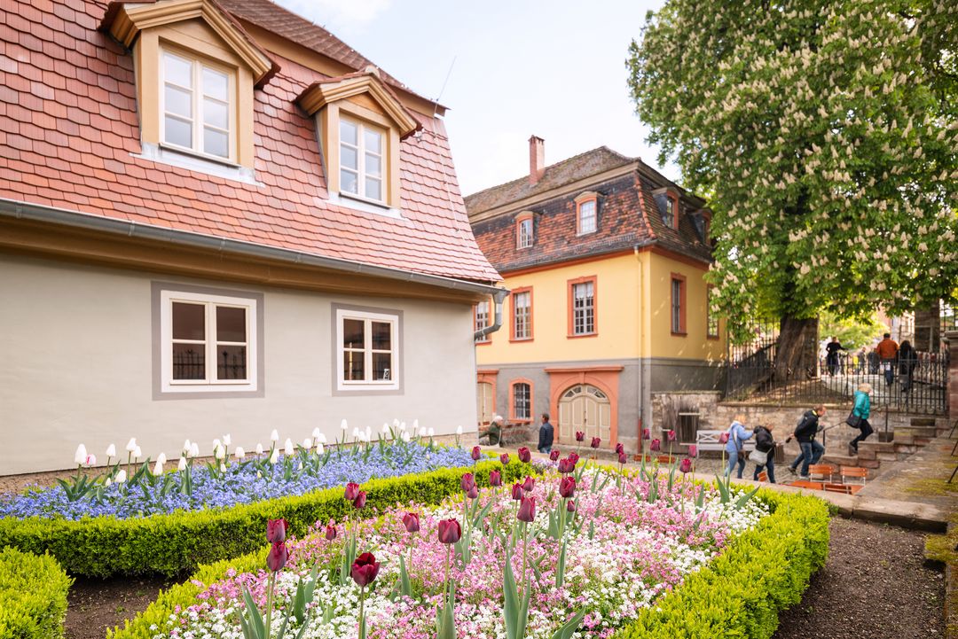 Wittumspalais Blick auf Haus und Garten