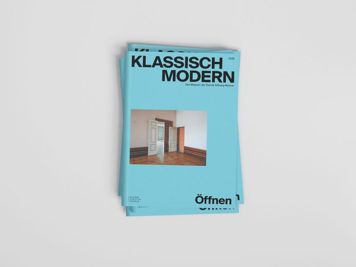 klassisch modern Magazin-Cover in hellblauer Farbe