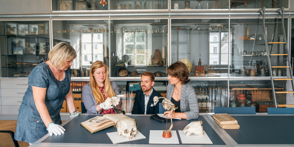 Forschung Mitarbeiter der Klassik Stiftung Weimar studieren einen Tierschädel.