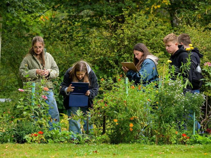 Schüler*innen bei der kreativen Aufgabe