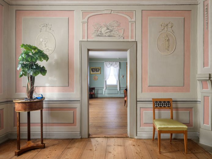 Schloss Tiefurt Künstliche Grünpflanze in barocken Zimmer