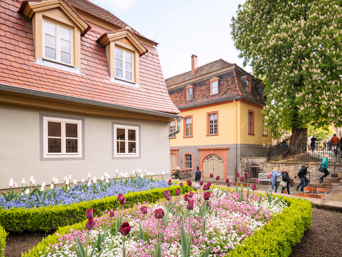 Wittumspalais Blick auf Haus und Garten