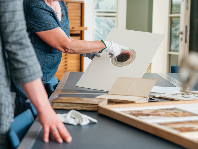 Forschung Die von Goethe und Schiller entwickelte "Temperamentenrose"