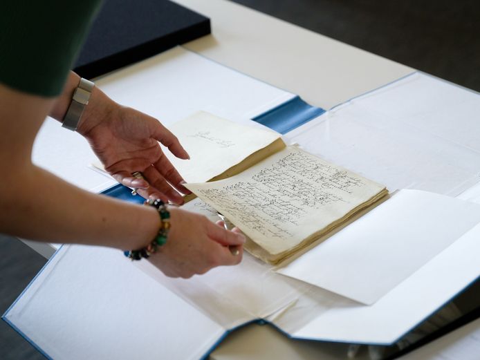 Einblick in die Handschrift "Die Kraniche des Ibykus"