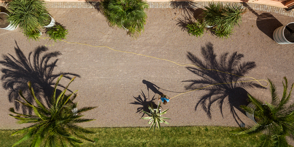 Gärtnerische Arbeit Ein Gärtner gießt die Palmen an der Orangerie Belvedere