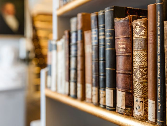 Herzogin Anna Amalia Bibliothek, Historisches Gebäude Bücher im Rokokosaal der Herzogin Anna Amalia Bibliothek