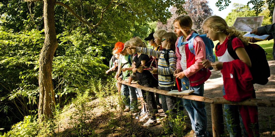 Kinder stehen aufgereiht an einem Holzgeländer in einer Waldkulisse