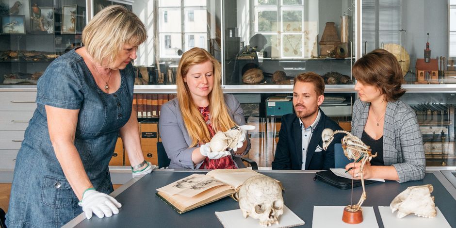 Forschung Mitarbeiter der Klassik Stiftung Weimar studieren einen Tierschädel.