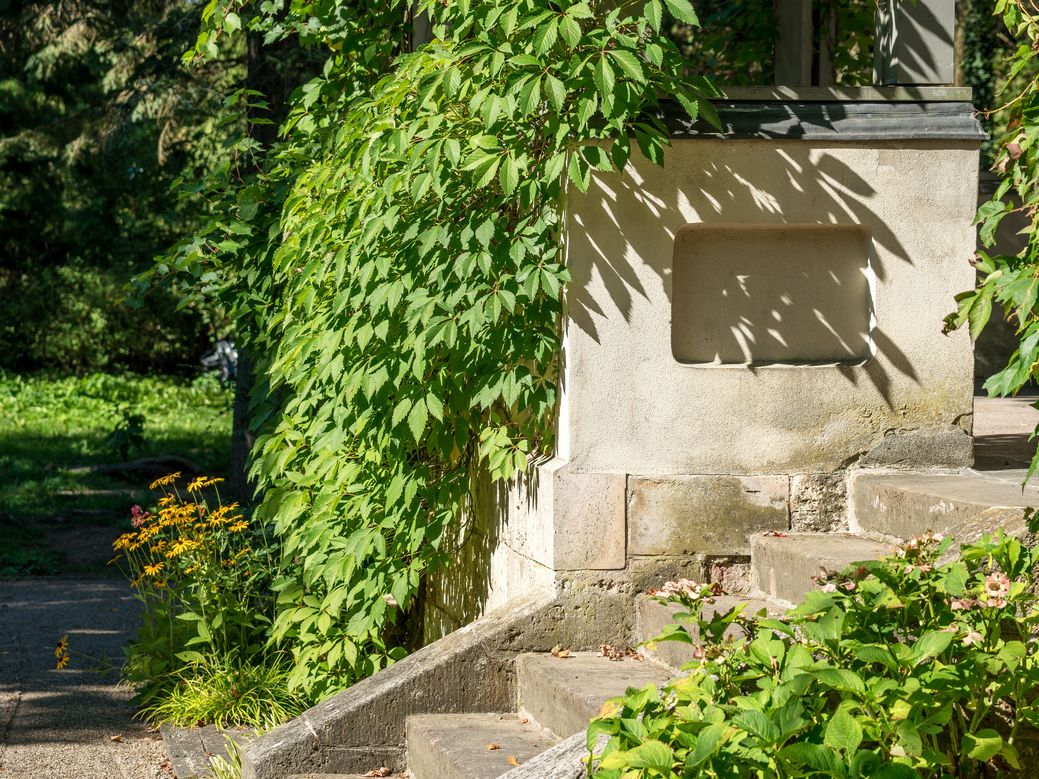 Haus Hohe Pappeln Der weinumrankte Aufgang zur Terrasse